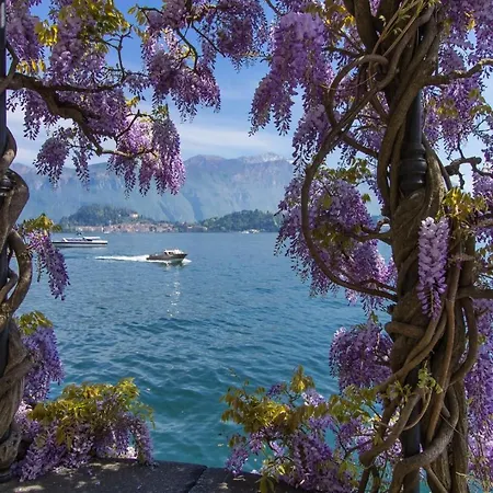 Amazing View On Como Lake 블레비오